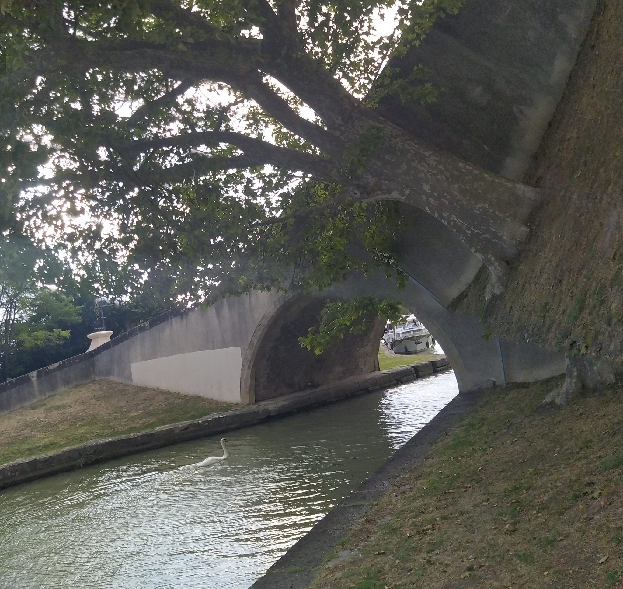 Photographie du Canal de l'Aude, par Rico da Halvarez